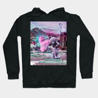 vaporwave cat #2 Hoodie